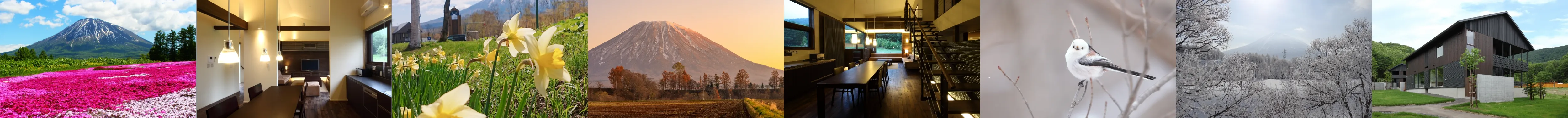 雄大な自然やブラウンを基調とした内装の施設、木の枝にとまるシマエナガ